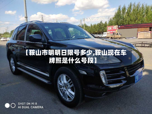 【鞍山市明明日限号多少,鞍山现在车牌照是什么号段】-第1张图片