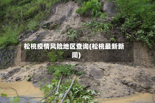 松桃疫情风险地区查询(松桃最新新闻)-第1张图片