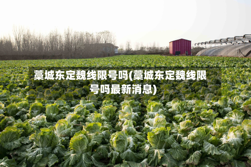 藁城东定魏线限号吗(藁城东定魏线限号吗最新消息)-第1张图片