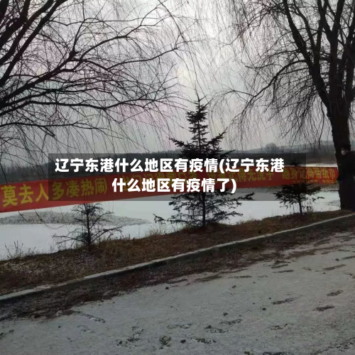 辽宁东港什么地区有疫情(辽宁东港什么地区有疫情了)-第1张图片