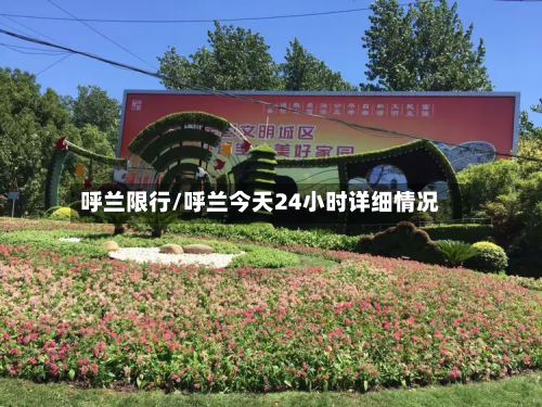 呼兰限行/呼兰今天24小时详细情况-第1张图片