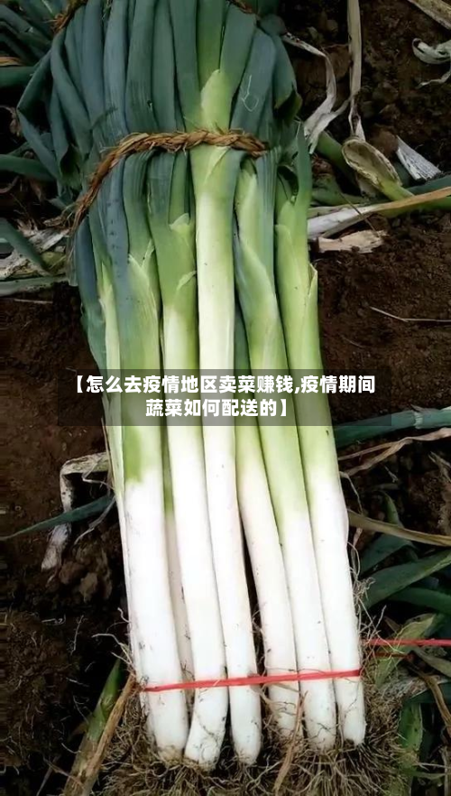 【怎么去疫情地区卖菜赚钱,疫情期间蔬菜如何配送的】-第1张图片