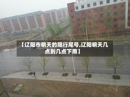 【辽阳市明天的限行尾号,辽阳明天几点到几点下雨】-第1张图片