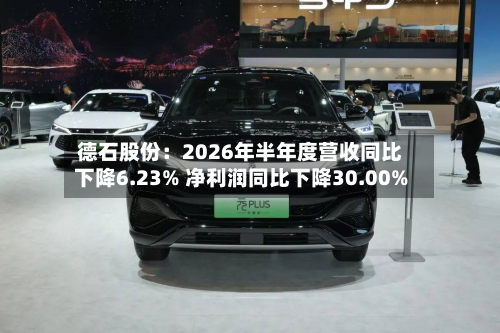 德石股份:2026年半年度营收同比下降6.23% 净利润同比下降30.00%-第1张图片