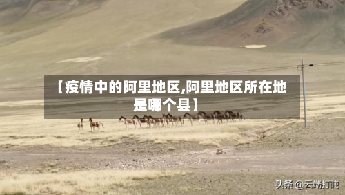 【疫情中的阿里地区,阿里地区所在地是哪个县】-第1张图片