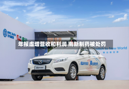 年报虚增营收和利润 南新制药被处罚-第1张图片