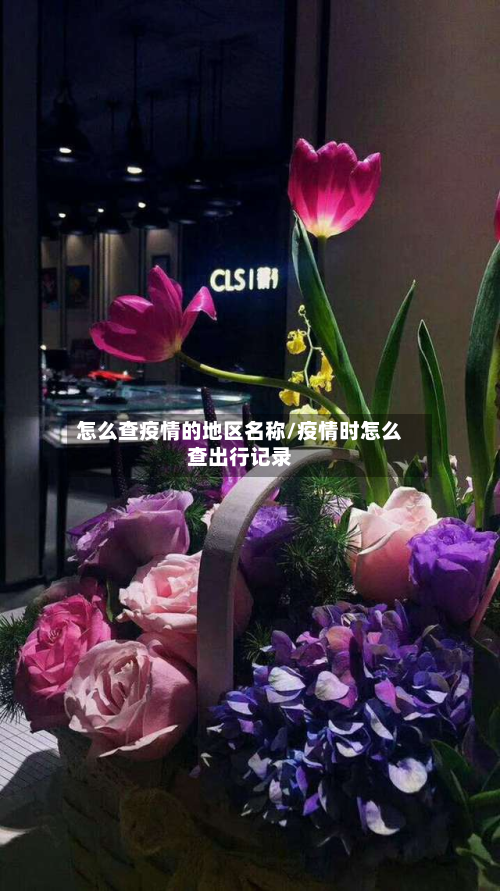 怎么查疫情的地区名称/疫情时怎么查出行记录-第1张图片