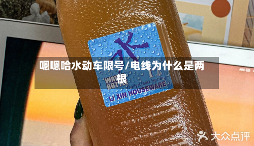 嗯嗯哈水动车限号/电线为什么是两根-第1张图片