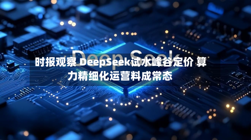 时报观察 DeepSeek试水峰谷定价 算力精细化运营料成常态-第1张图片
