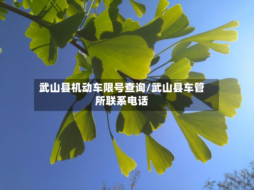 武山县机动车限号查询/武山县车管所联系电话-第1张图片