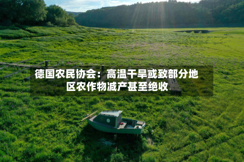德国农民协会:高温干旱或致部分地区农作物减产甚至绝收-第1张图片