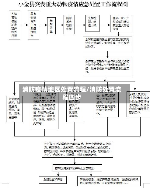 消防疫情地区处置流程/消防处置流程四步-第1张图片