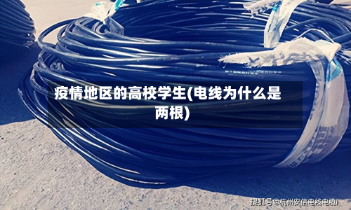 疫情地区的高校学生(电线为什么是两根)-第1张图片