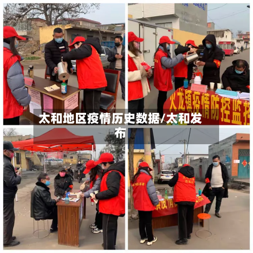 太和地区疫情历史数据/太和发布-第1张图片
