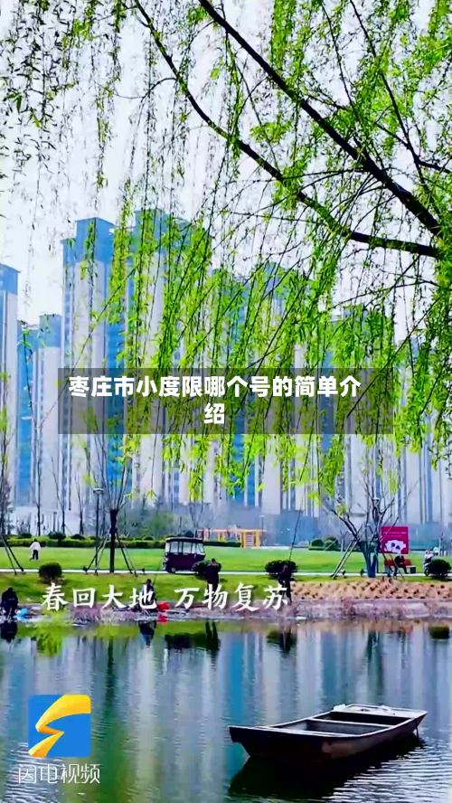 枣庄市小度限哪个号的简单介绍-第1张图片