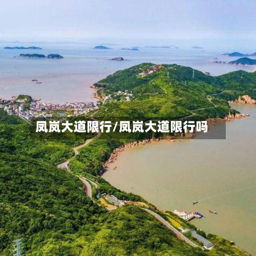 凤岚大道限行/凤岚大道限行吗-第1张图片