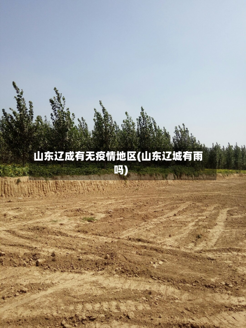 山东辽成有无疫情地区(山东辽城有雨吗)-第1张图片