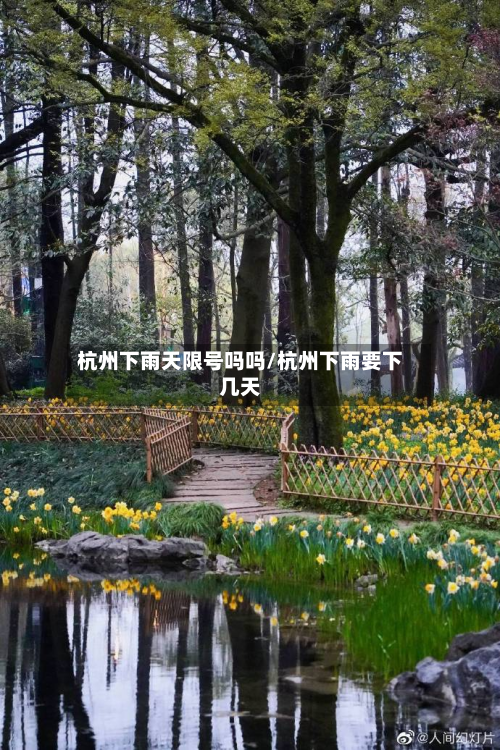 杭州下雨天限号吗吗/杭州下雨要下几天-第1张图片