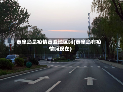 秦皇岛是疫情高峰地区吗(秦皇岛有疫情吗现在)-第1张图片