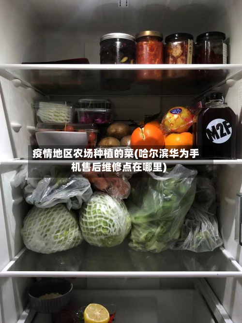 疫情地区农场种植的菜(哈尔滨华为手机售后维修点在哪里)-第1张图片