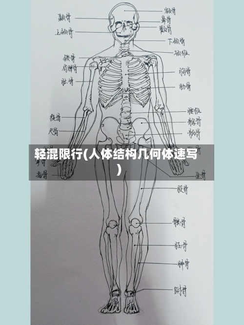 轻混限行(人体结构几何体速写)-第1张图片