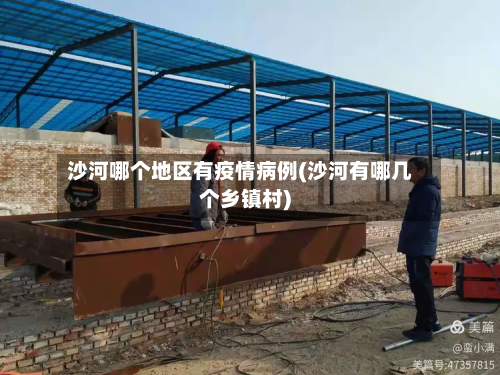 沙河哪个地区有疫情病例(沙河有哪几个乡镇村)-第1张图片