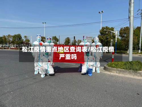 松江疫情重点地区查询表/松江疫情严重吗-第1张图片