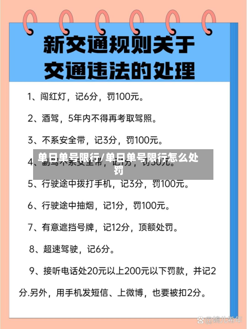单日单号限行/单日单号限行怎么处罚-第1张图片