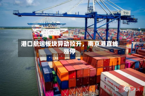 港口航运板块异动拉升	，南京港直线涨停-第2张图片