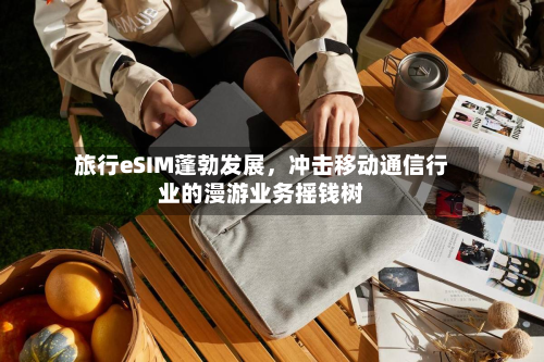 旅行eSIM蓬勃发展	，冲击移动通信行业的漫游业务摇钱树-第2张图片