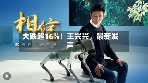大跌超16%！王兴兴	，最新发声-第3张图片