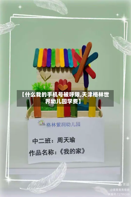 【什么我的手机号被呼限,天津格林世界幼儿园学费】-第1张图片