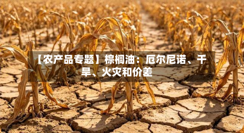 【农产品专题】棕榈油：厄尔尼诺、干旱、火灾和价差-第1张图片