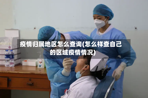 疫情归属地区怎么查询(怎么样查自己的区域疫情情况)-第1张图片