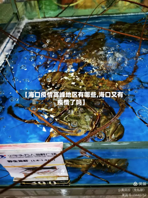 【海口疫情高峰地区有哪些,海口又有疫情了吗】-第1张图片