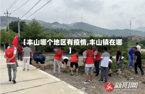 【丰山哪个地区有疫情,丰山镇在哪】-第1张图片