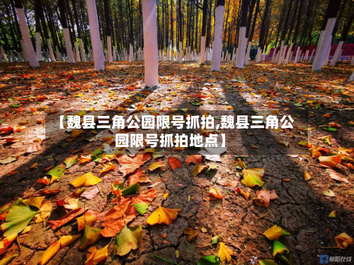【魏县三角公园限号抓拍,魏县三角公园限号抓拍地点】-第1张图片