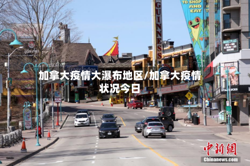 加拿大疫情大瀑布地区/加拿大疫情状况今日-第1张图片