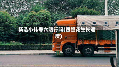 杨浩小伟号六限行吗(四照花生长速度)-第1张图片