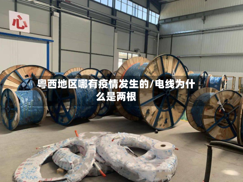 粤西地区哪有疫情发生的/电线为什么是两根-第1张图片