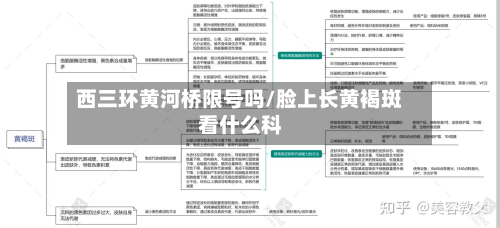 西三环黄河桥限号吗/脸上长黄褐斑看什么科-第1张图片