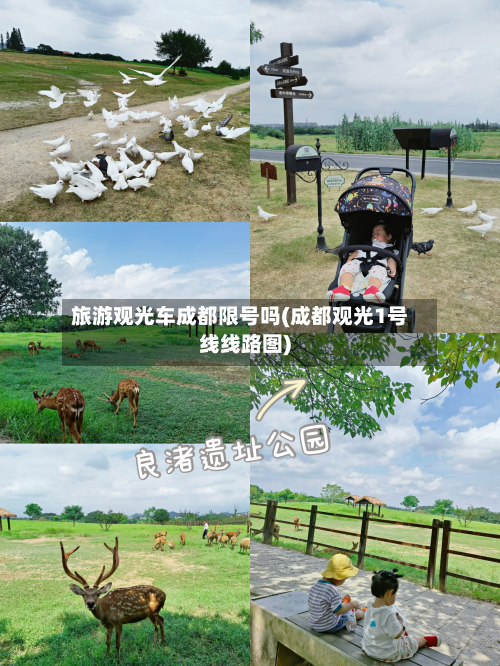 旅游观光车成都限号吗(成都观光1号线线路图)-第1张图片