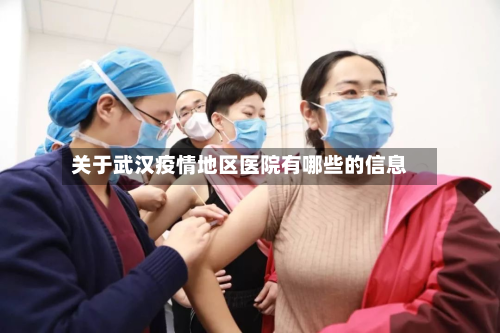 关于武汉疫情地区医院有哪些的信息-第1张图片