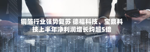 铜箔行业强势复苏 德福科技、宝鼎科技上半年净利润增长均超5倍-第2张图片