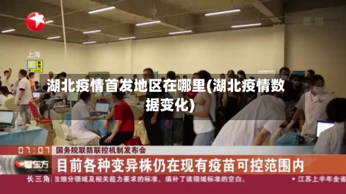 湖北疫情首发地区在哪里(湖北疫情数据变化)-第1张图片