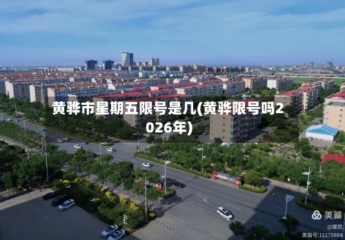 黄骅市星期五限号是几(黄骅限号吗2026年)-第1张图片