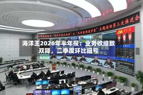 海洋王2026年半年报：业务收缩致双降，二季度环比扭亏-第3张图片