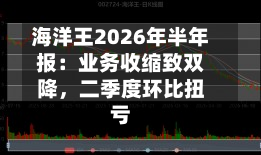 海洋王2026年半年报：业务收缩致双降，二季度环比扭亏-第2张图片