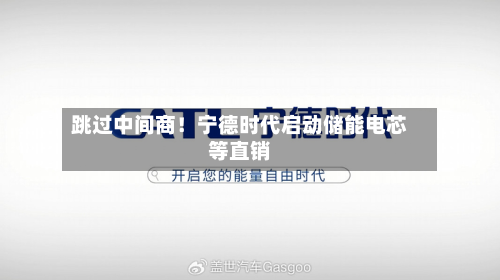 跳过中间商!宁德时代启动储能电芯等直销-第1张图片