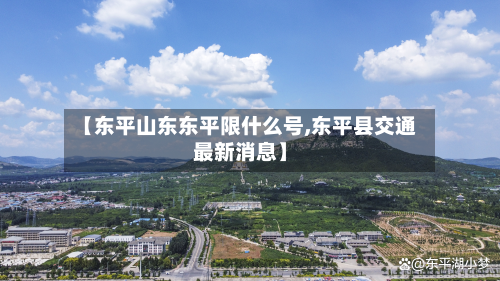 【东平山东东平限什么号,东平县交通最新消息】-第1张图片